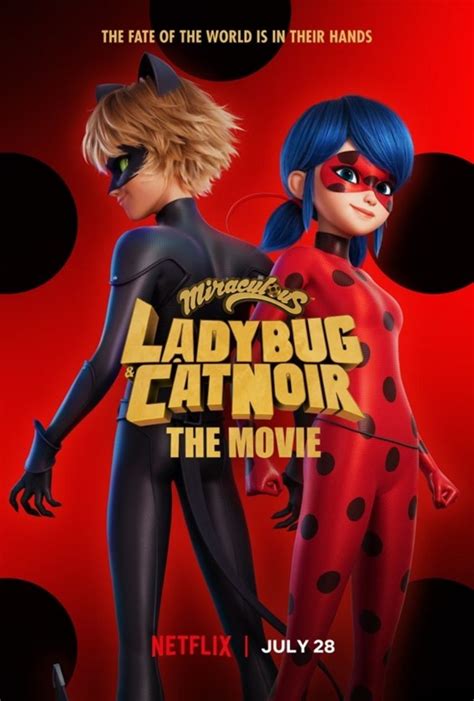 is miraculous season 5 on netflix|Miraculous: Tales of Ladybug & Cat Noir Season 5